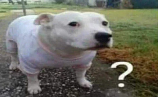 546x335