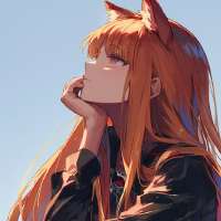 736x736
