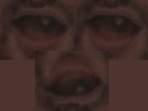 483x363