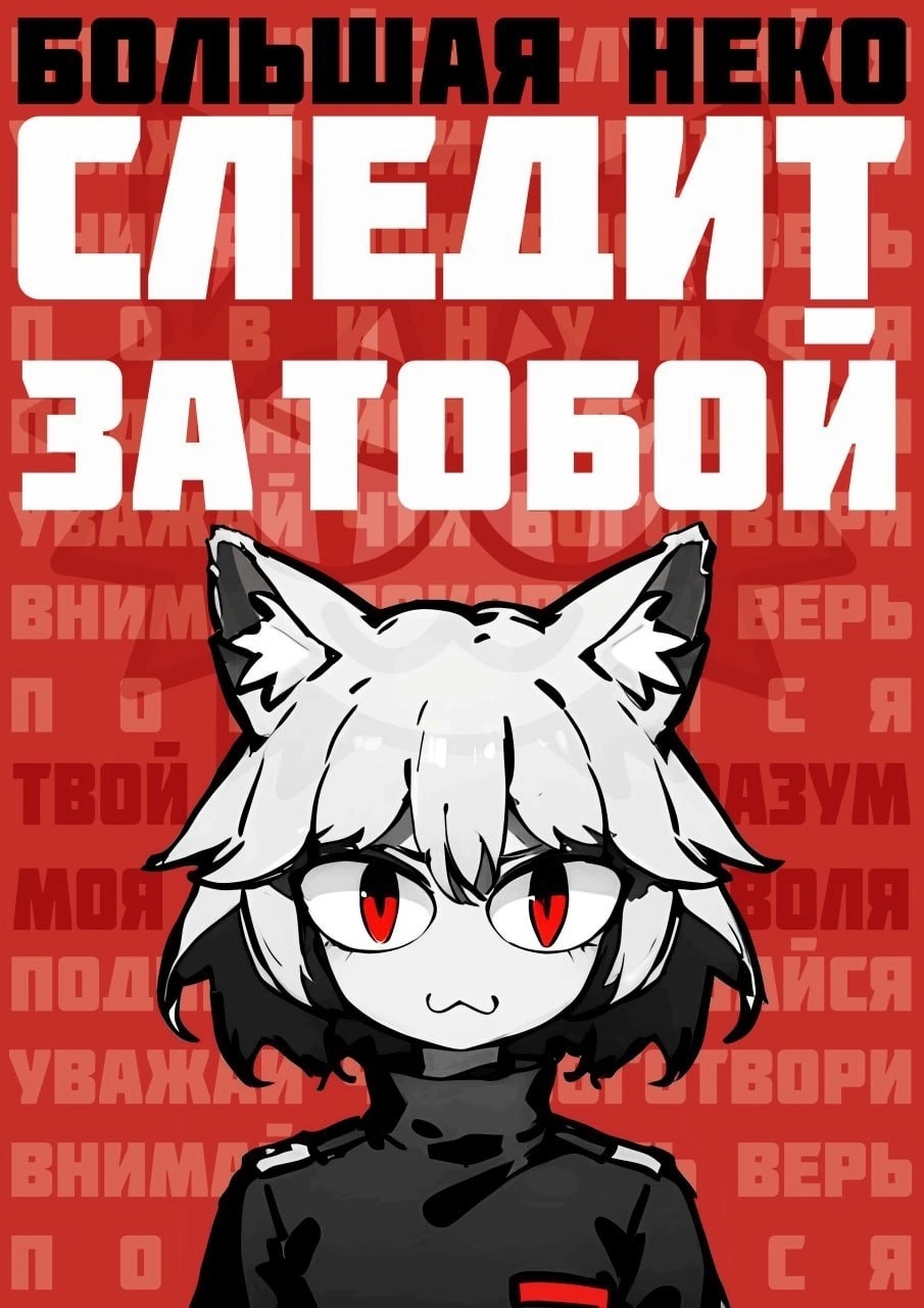 905x1280