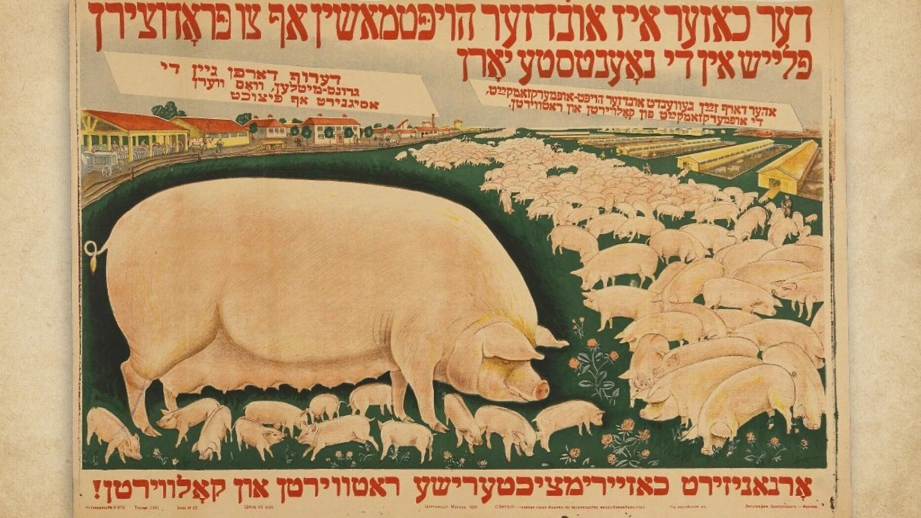 1867x1051