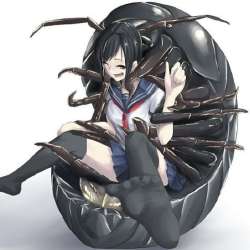 702x702