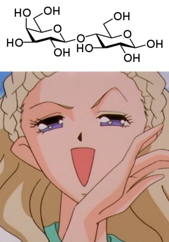 565x807