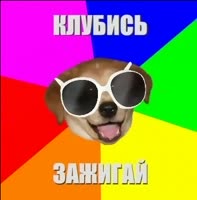 344x348