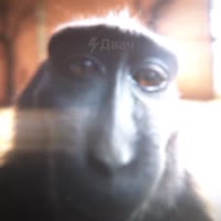960x960