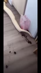 360x640