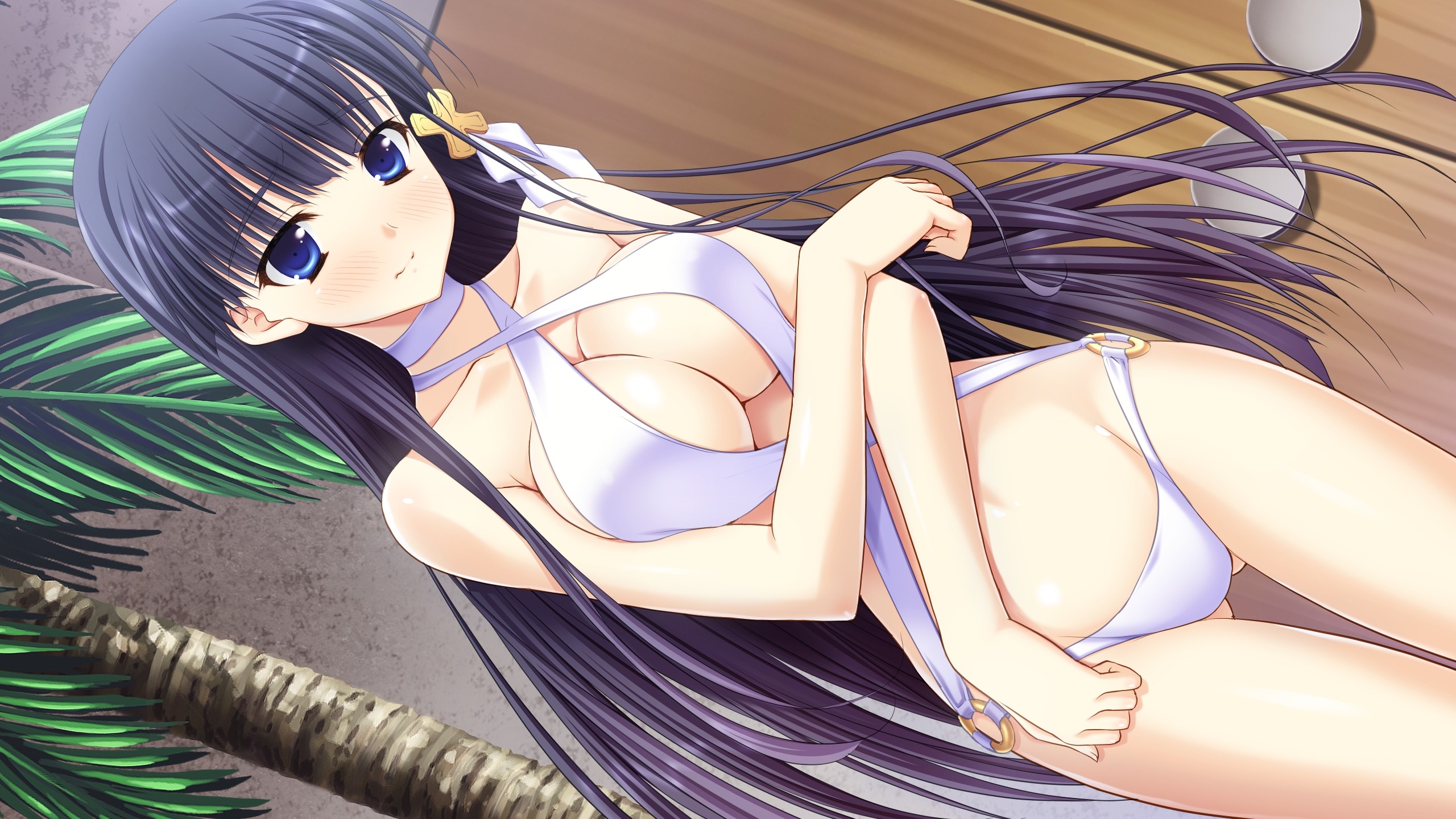 2560x1440