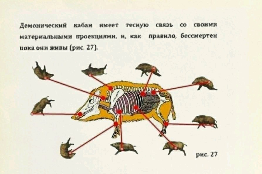 893x593