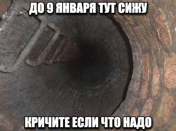 736x551