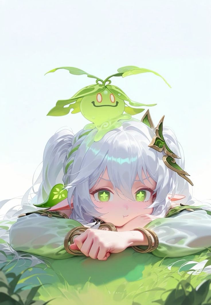 736x1067