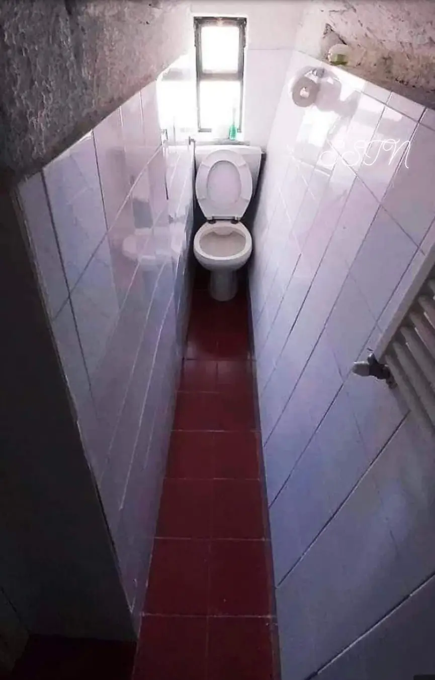 865x1350