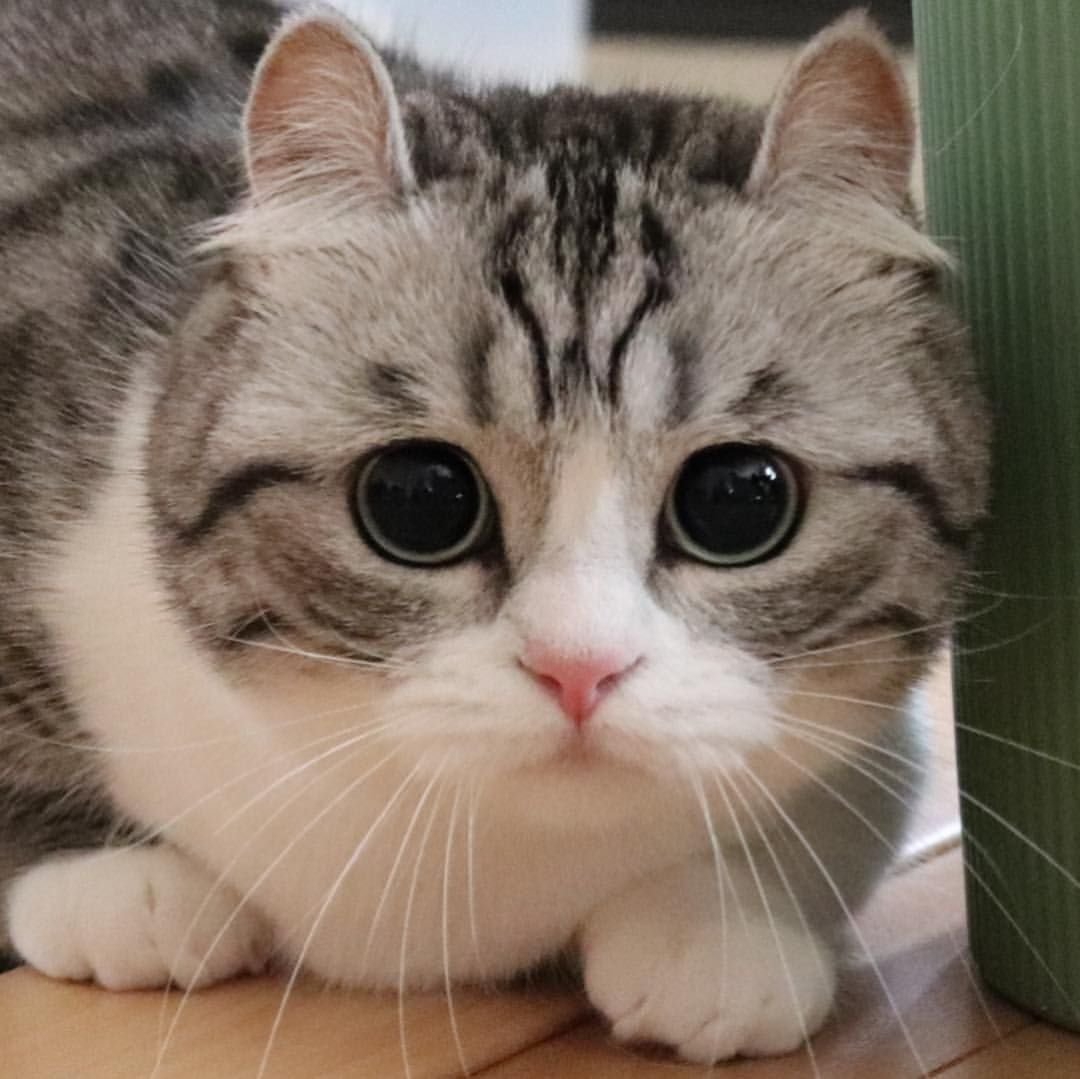 1080x1079