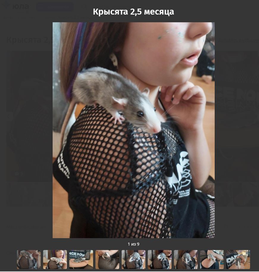 871x916