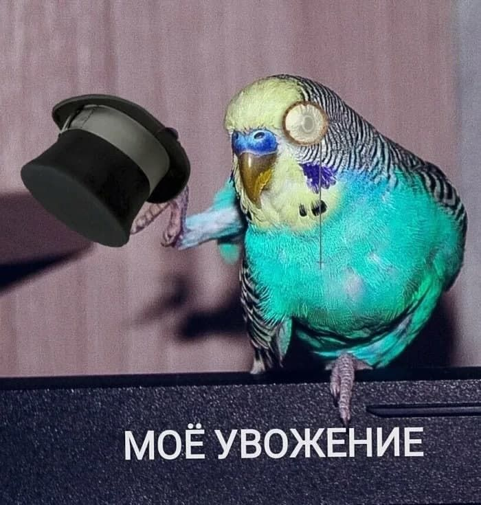 700x735