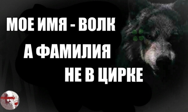 604x362