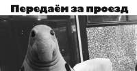 1200x628