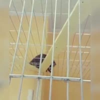 360x360
