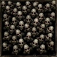 600x600