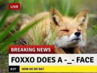 540x410