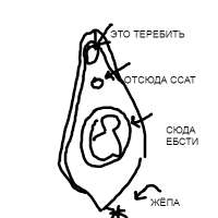 400x400