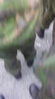 406x720