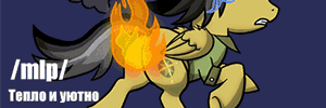 mlp