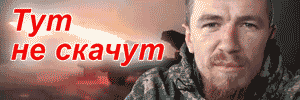 nvr