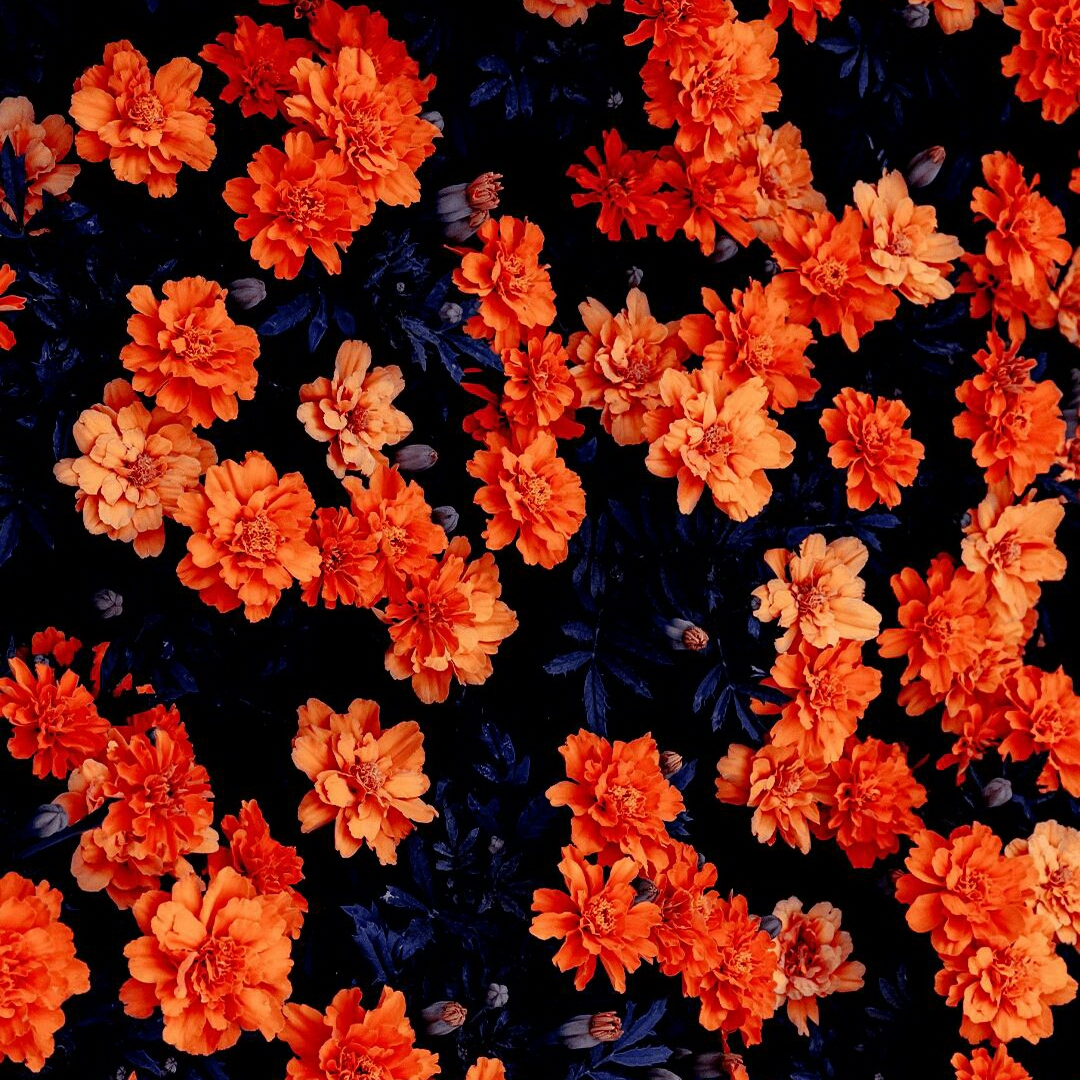 1080x1080