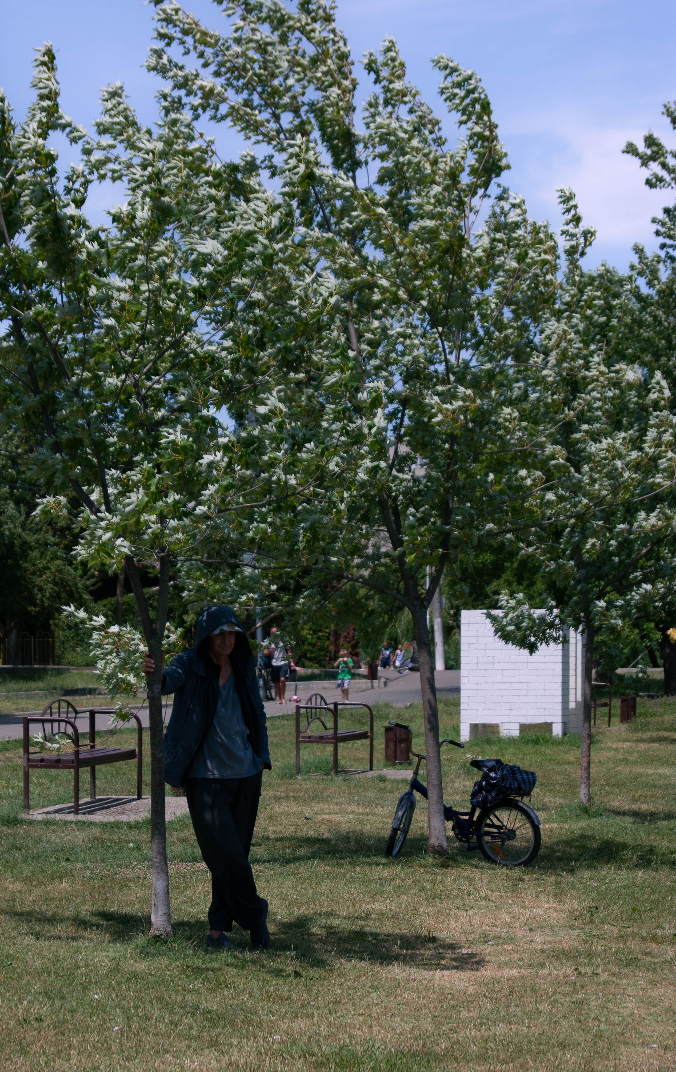 2273x3603