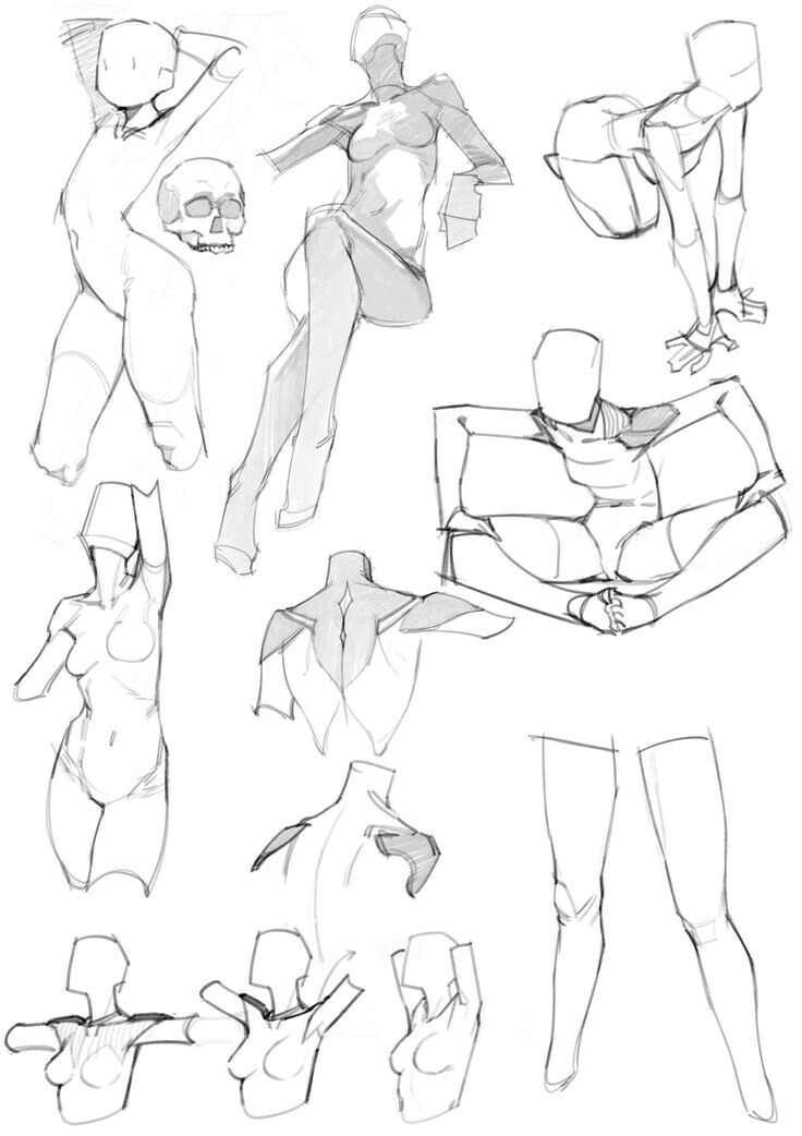 736x1042