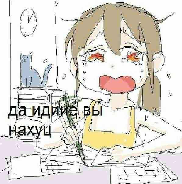 597x604