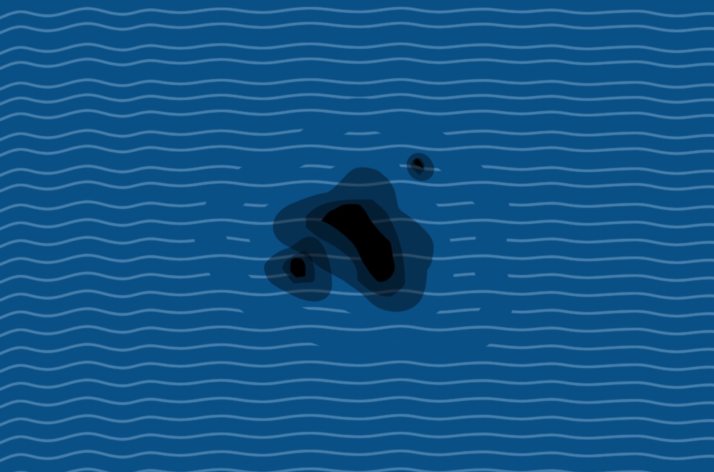 1000x662