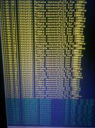 2432x3286