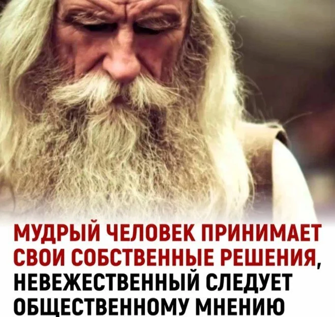 659x623