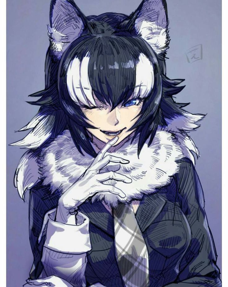 736x923