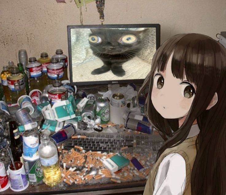 736x635