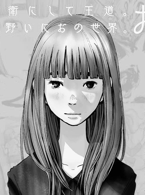 501x675