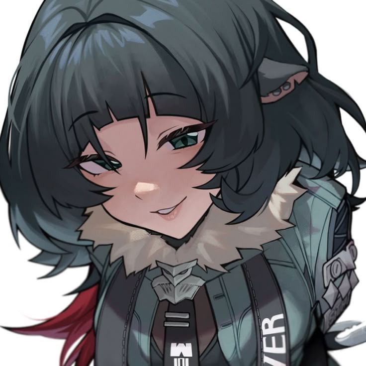 736x736