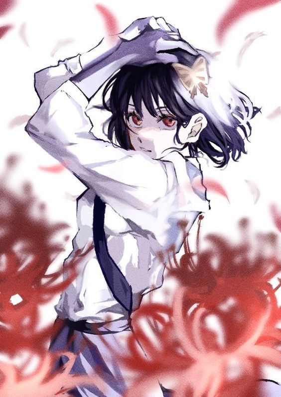 564x798