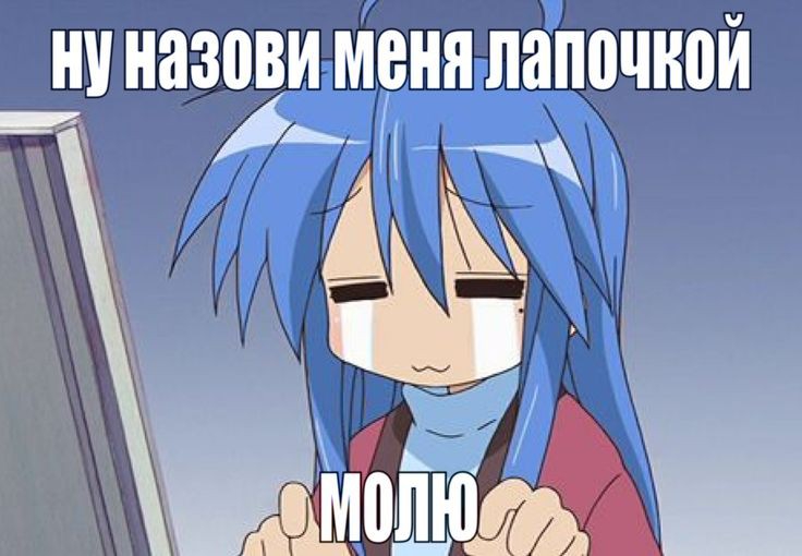 736x510
