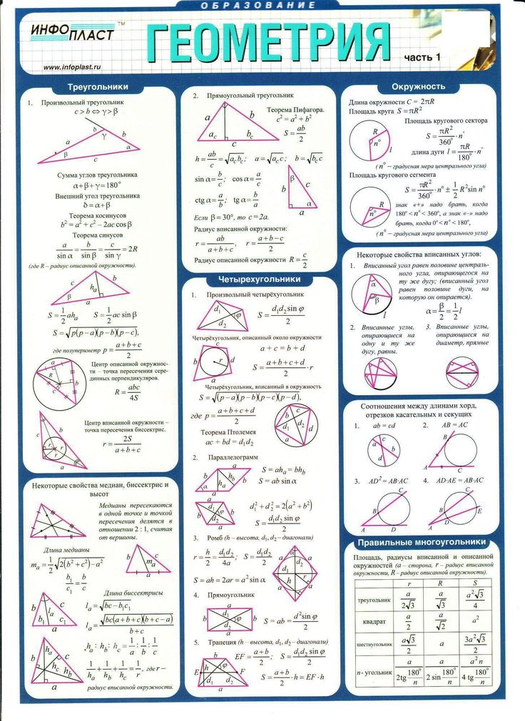 736x1011