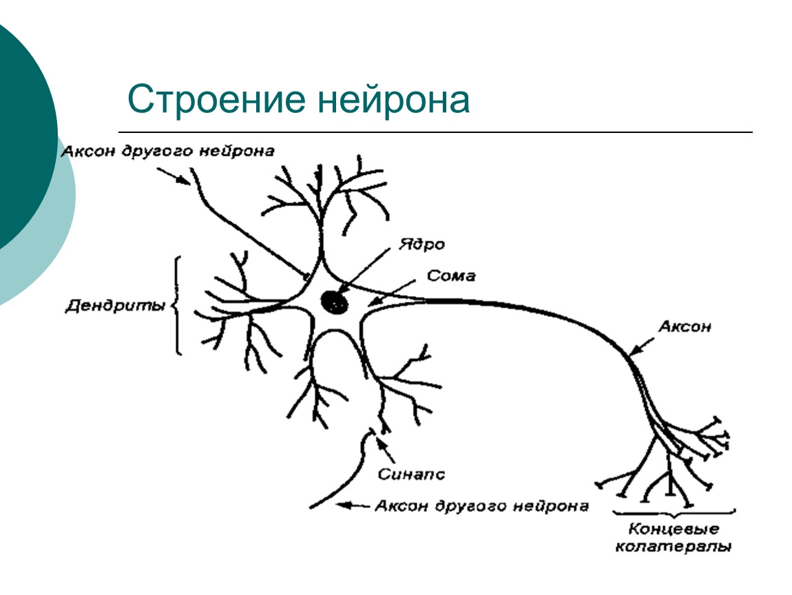 1150x864