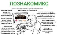 1262x750