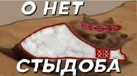 1200x675