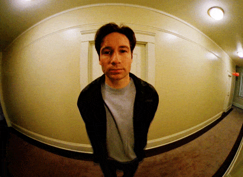 491x358
