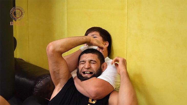 730x411