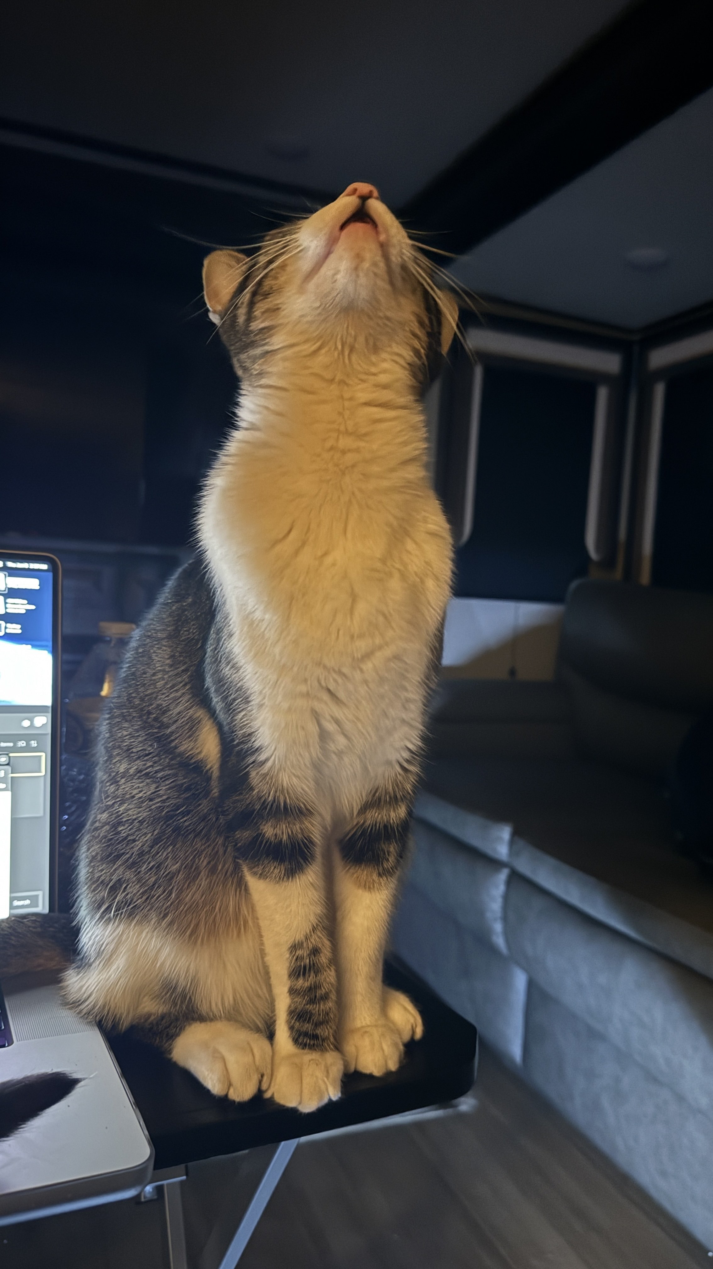 2268x4032