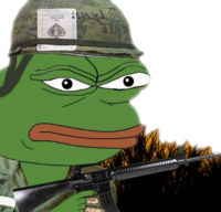 512x493
