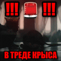 534BDAd6.жипег