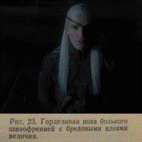 YzuFUgVG.жипег